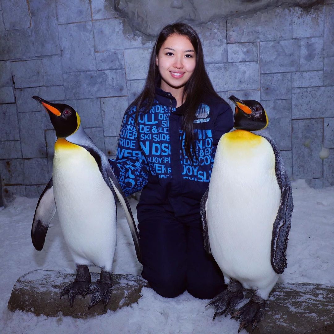 Snow Dubai Penguins