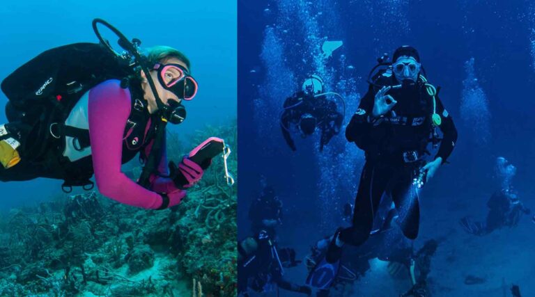 What Are the Best Places to Scuba Dive in Dubai 2024