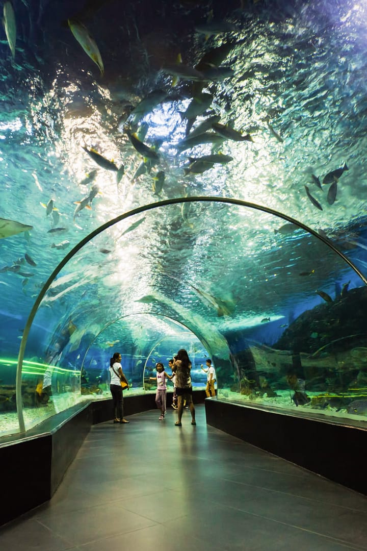 Dubai Aquarium and Underwater Zoo