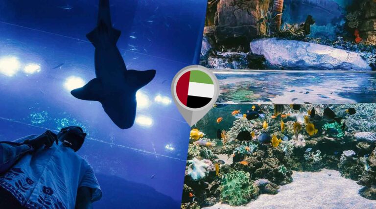 How Long Does It Take to Visit Dubai Aquarium