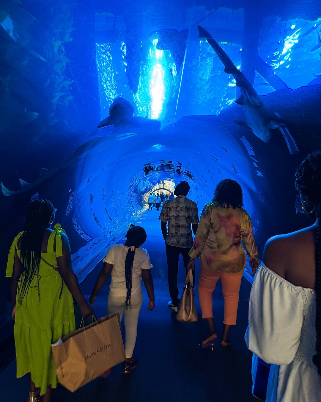 What Is Dubai Aquarium & Underwater Zoo?