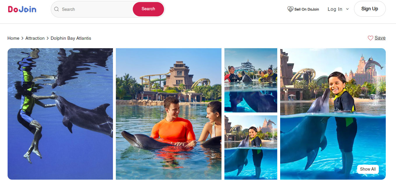 Dolphin Bay at Aquaventure World for Kids in Dubai