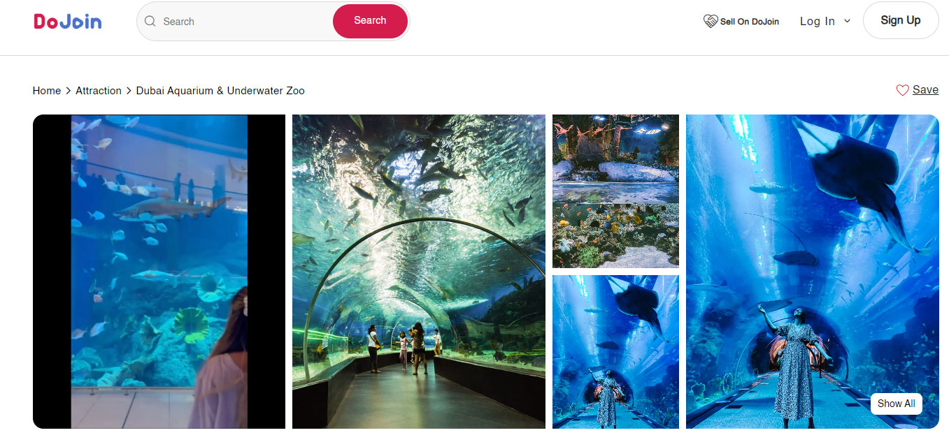 Dubai Mall Aquarium and Underwater Zoo for Kids