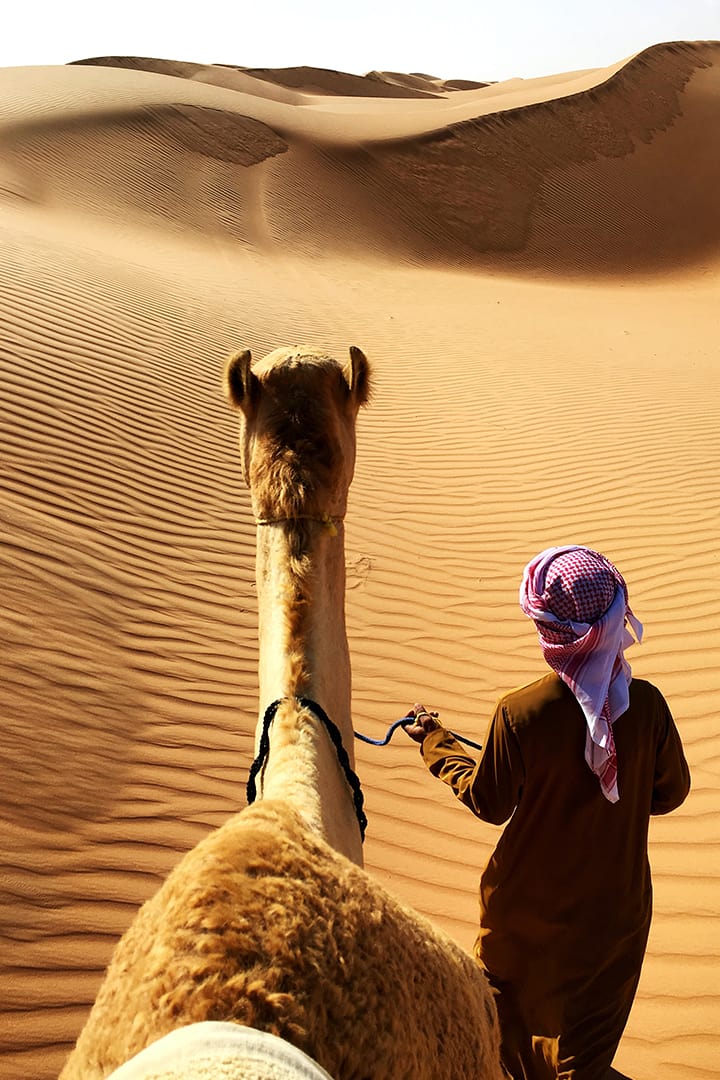 Camel Rides