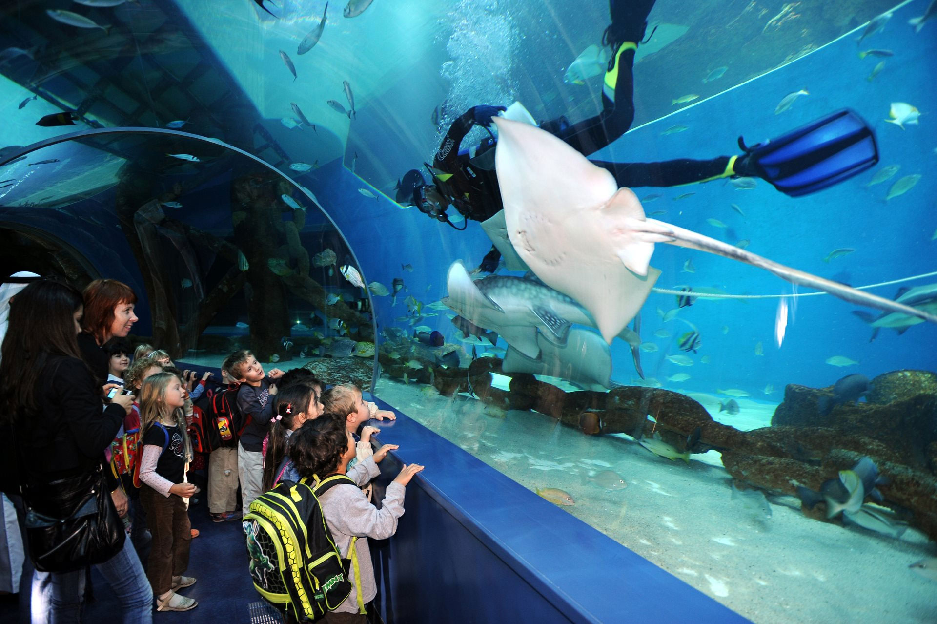 Sharjah Aquarium