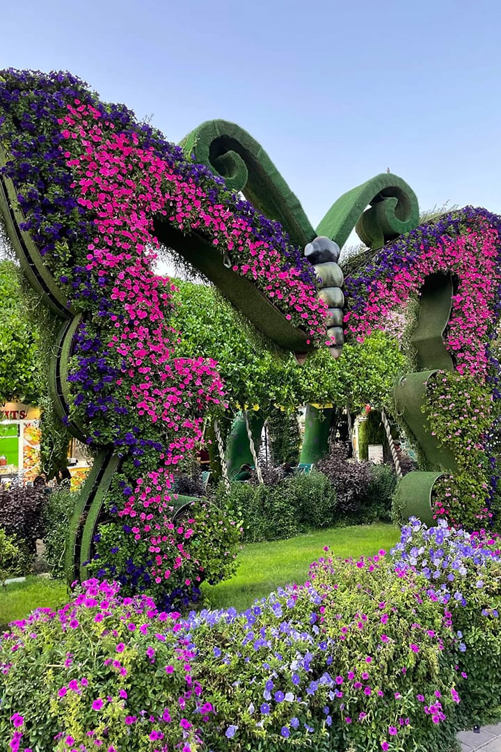 Dubai Butterfly Garden