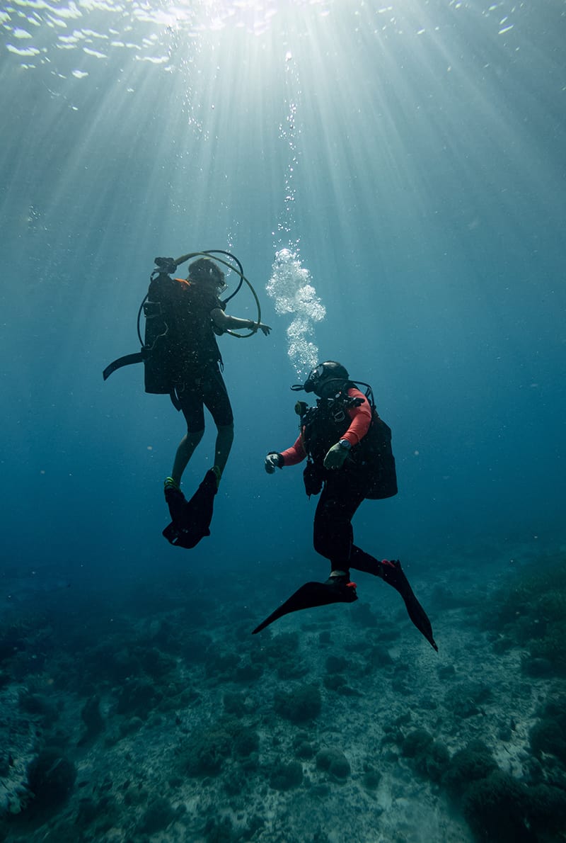 Fujairah Snorkeling Adventure